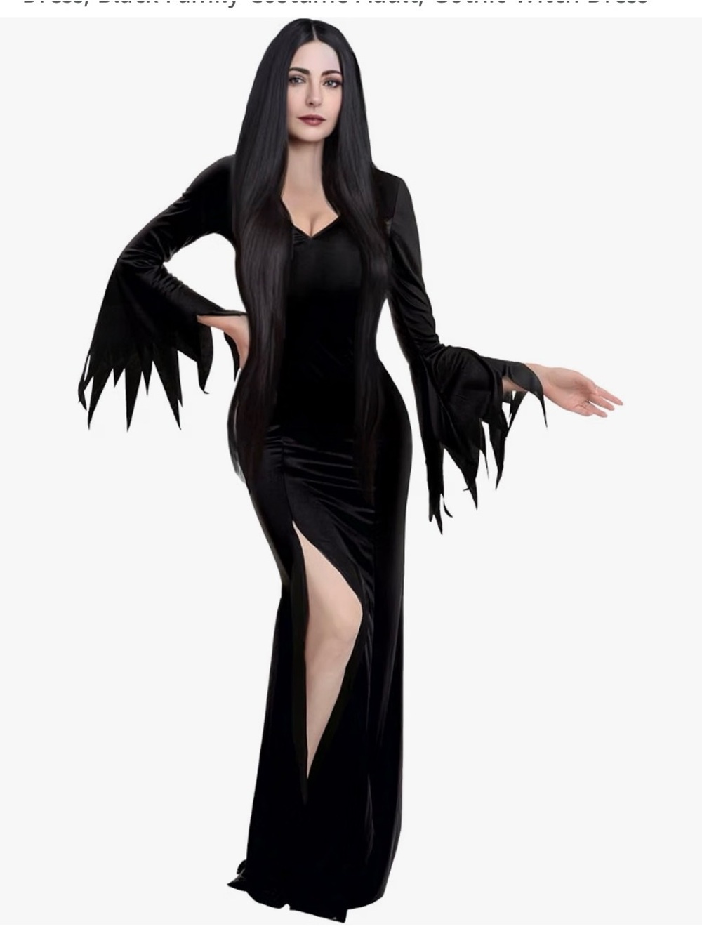 Gothic Midnight Beauty Long Dress, Women Size Large 12-14,Black Family Costume
